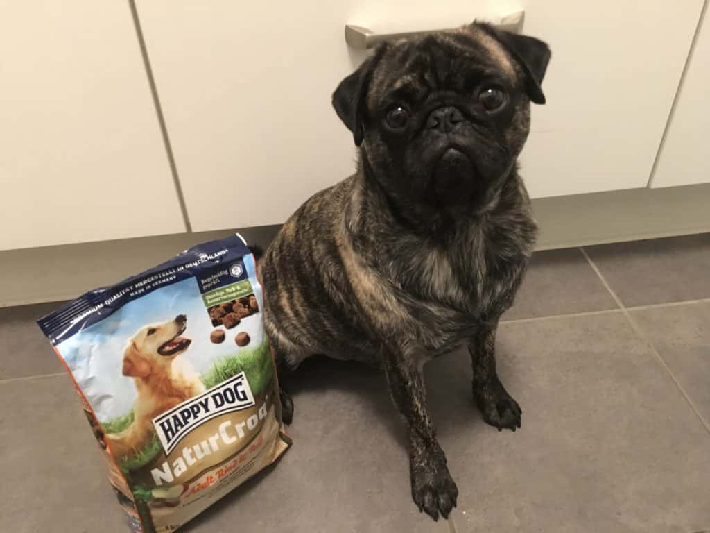 Happy Dog NaturCroq Hundefutter neben unserem Testhund Nacho: Mops im Praxistest