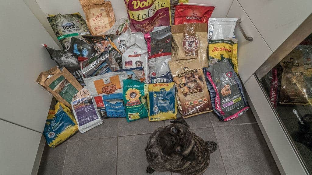 Ein kleiner Hund sitzt auf einem gefliesten Boden, umgeben von zahlreichen Beuteln mit Trockenfutter verschiedener Marken und Farben, ordentlich angeordnet. Einige Beutel sind geöffnet und zeigen verschiedene Formen und Farben von Trockenfutter. Im Hintergrund sind weiße Küchenschränke zu sehen.