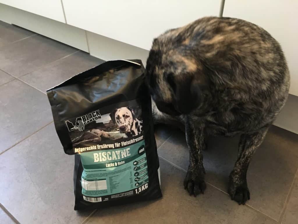 Black Canyon Hundefutter Test, Biscayne Trockenfutter und Great Falls Nassfutter
