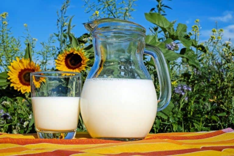 Ein Glas und ein Krug Milch stehen draußen auf einem bunt gestreiften Tuch.