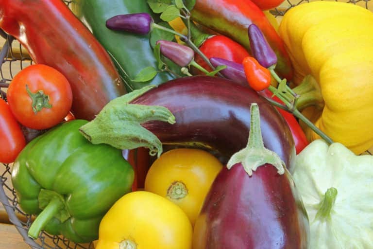 Eine bunte Auswahl an Gemüse, darunter Tomaten, Paprika und Auberginen.