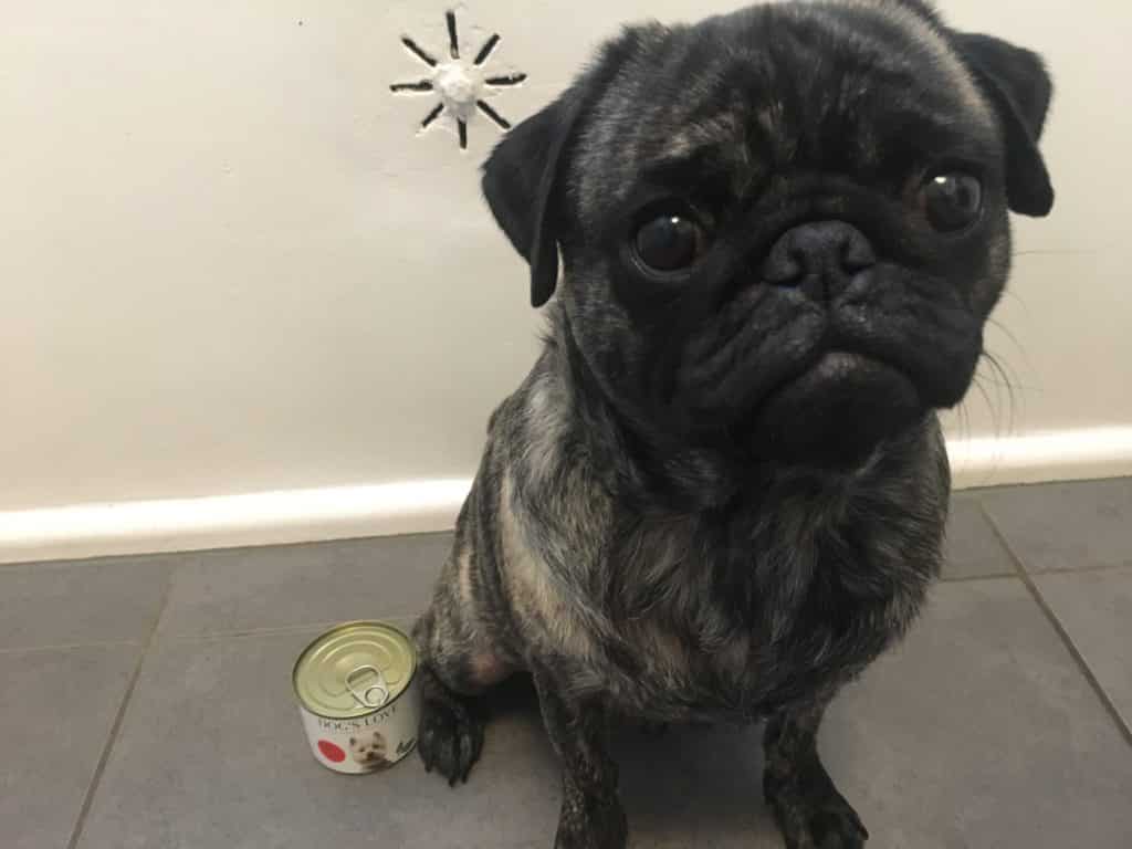 Dog's Love Trockenfutter