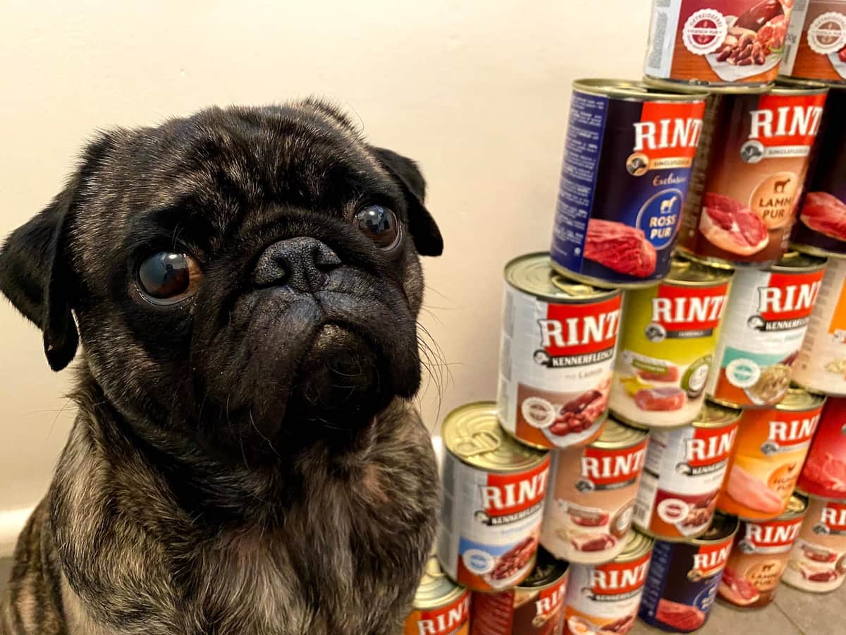 Rinti Kennerfleisch im Napf