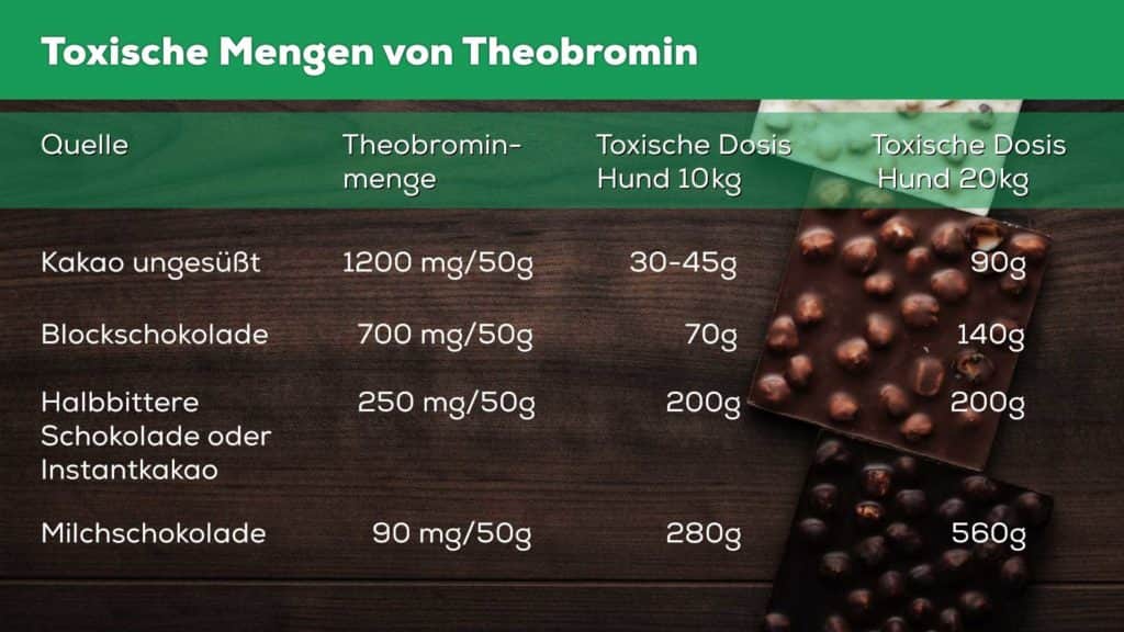Tabelle mit dem Titel „Toxische Mengen von Theobromin" zeigt Theobrominmengen und toxische Dosen, wenn ein Hund Schokolade gefressen hat. Enthält ungesüßten Kakao, dunkle Schokolade, halbsüße Schokolade und Milchschokolade mit unterschiedlichen mg-Mengen und toxischen Dosen für 10 kg und 20 kg schwere Hunde.