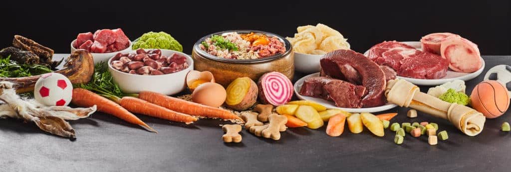 Auf einer Fläche, die sich perfekt zum Teilbarfen eignet, ist eine Vielzahl von Lebensmitteln ausgebreitet, darunter rohes Fleisch, Gemüse, Hundeleckerlis und Spielzeug. Um die Schalen mit gemischtem Getreide und Futter herum befinden sich Karotten, Fleischstücke, Knochen, Eier und richtig ausgewählte Kauspielzeuge in Form von Bällen für Hunde.