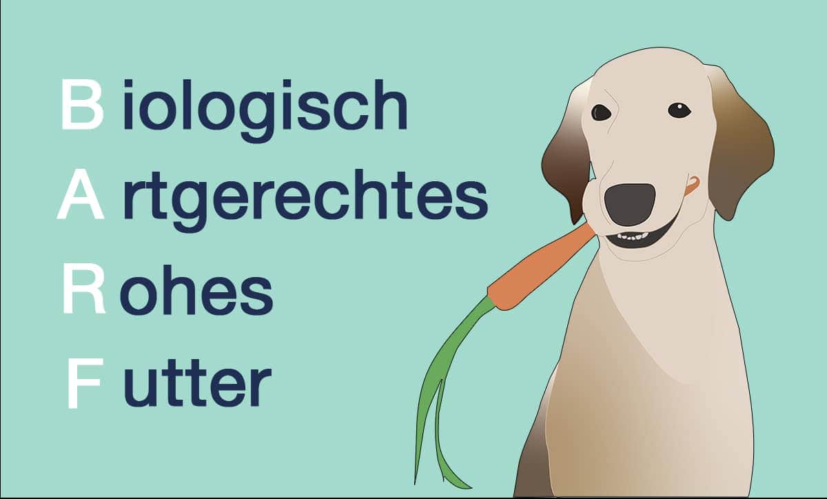 Illustration eines lächelnden braunen Hundes, der eine Karotte hält. Im Hintergrund steht vertikal B A R F, neben jedem Buchstaben steht „Biologisches Artgerechtes Rohfutter". Perfekt für Barfen-Anfänger, die nach einer einfachen Anleitung zum Einstieg suchen!