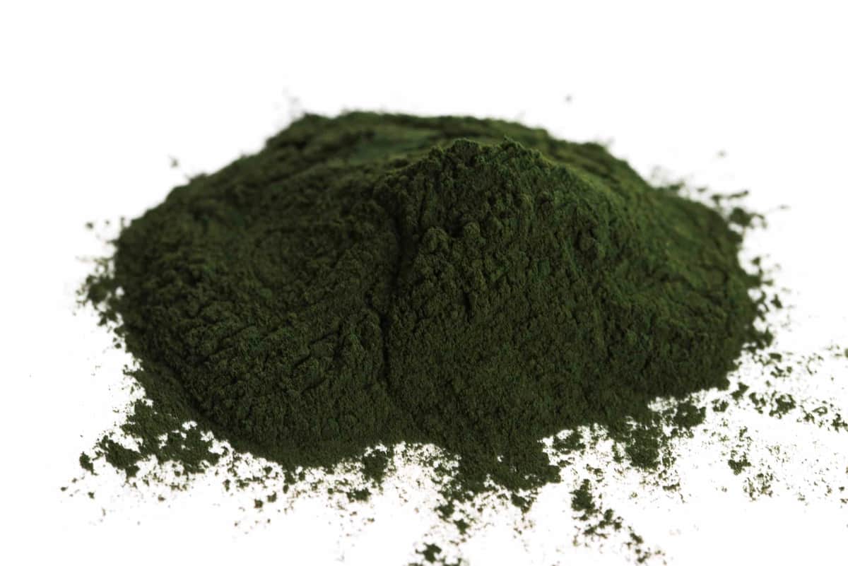 Auf weißem Hintergrund ist ein Hügel dunkelgrünen Spirulinapulvers zu sehen, das an feine Chlorella erinnert. Die feine Textur des Pulvers ist deutlich erkennbar, mit einigen kleinen verstreuten Bereichen um den Haufen herum.