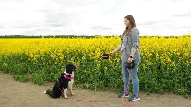 Eine Frau steht mit Leine und Napf auf einem Feldweg und blickt auf einen schwarz-weißen Hund, der vor ihr sitzt. Im Hintergrund ein gelbes Blumenfeld.