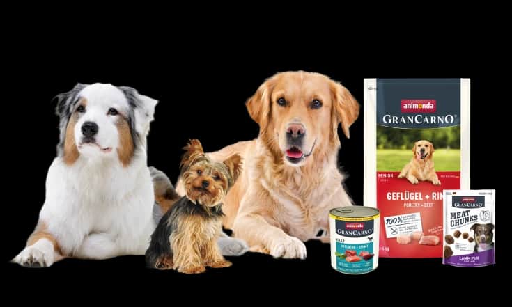 Animonda Hundefutter Sortiment mit Hunden