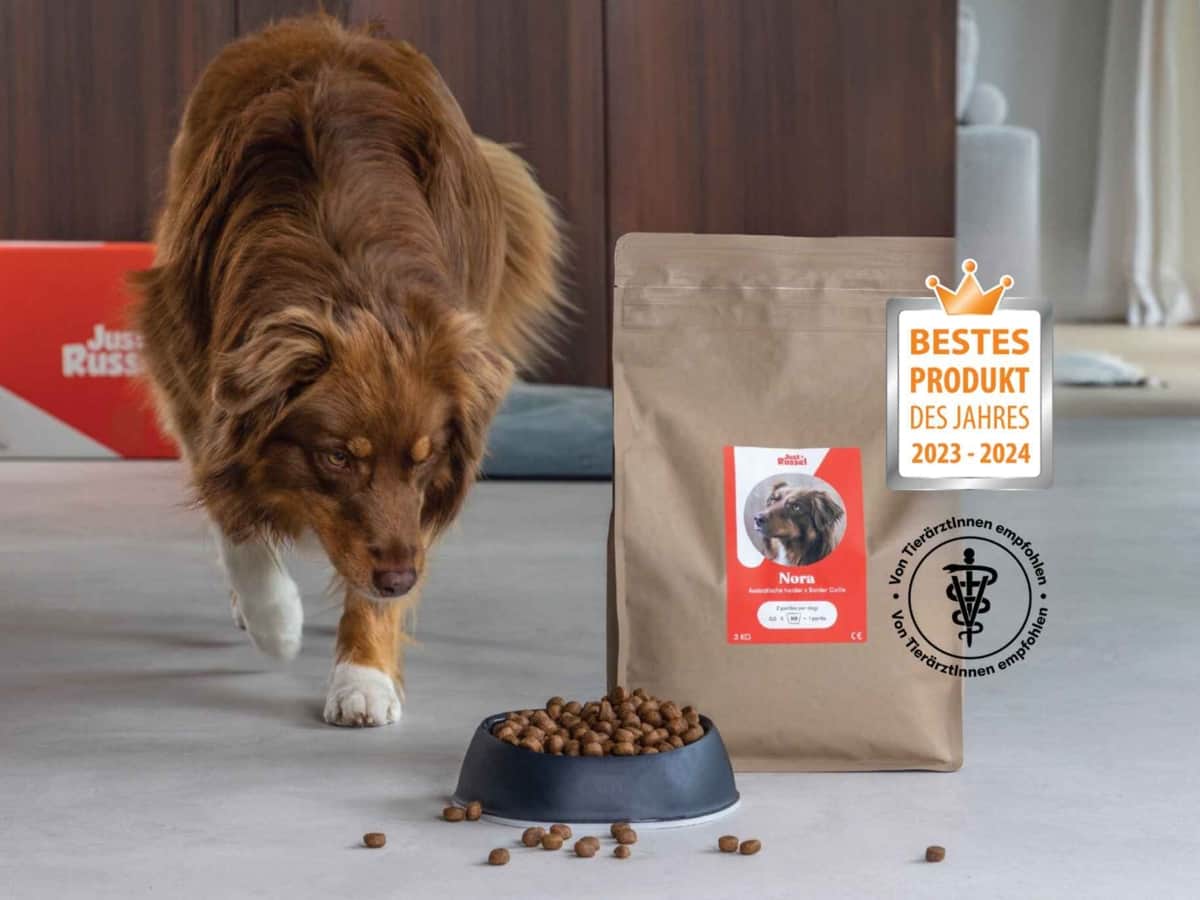 Just Russel Hundefutter im Test: personalisiertes Trockenfutter auf dem Testtisch