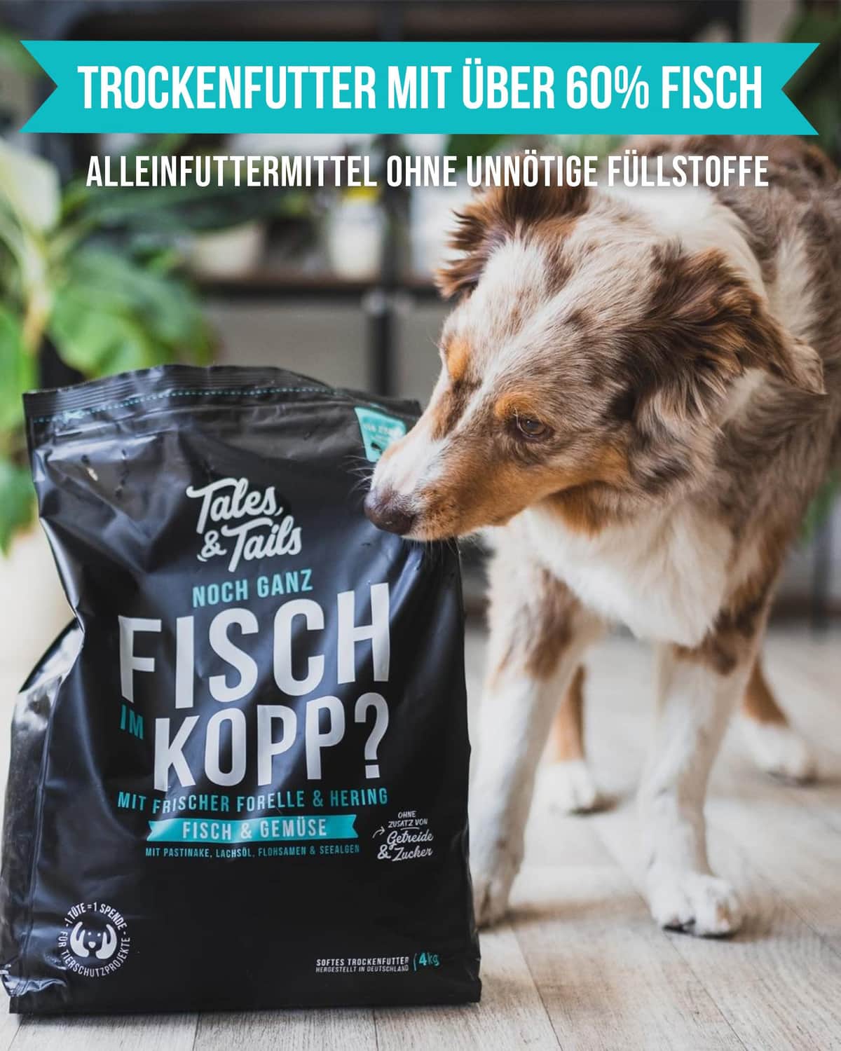 Tales & Tails Nassfutter Dosen auf einem Holztisch, daneben frischer Lachs und Forelle als Zutaten.