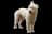 Bouvier des Ardennes