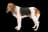 Chien d'Artois