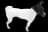 Japanese Terrier