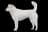 Kishu