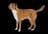 Pinscher autrichien