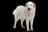 Great Pyrenees