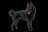 Schipperke