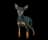 Miniature Pinscher