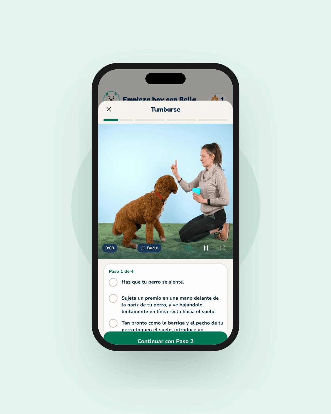 Vista previa de la app Hundeo: Lección en vídeo, Sin texto