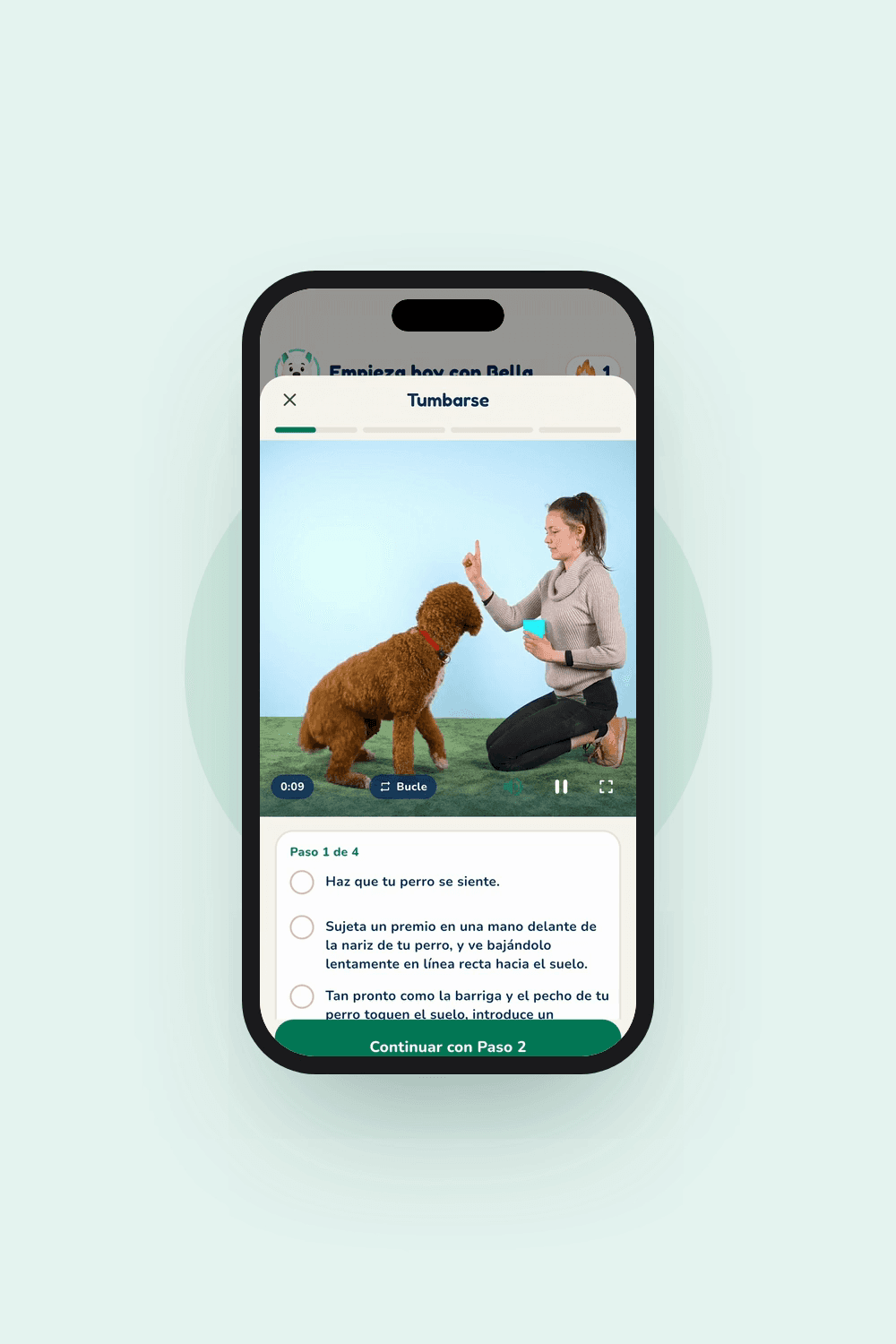 Vista previa de la app Hundeo: Lección en vídeo, Sin texto