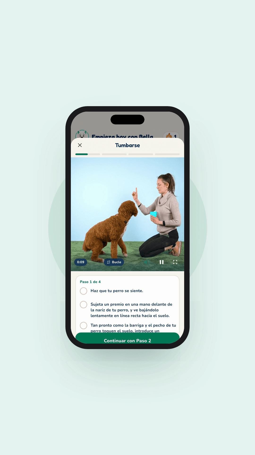Vista previa de la app Hundeo: Lección en vídeo, Sin texto