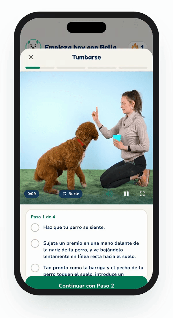 Vista previa de la app Hundeo: Lección en vídeo, Sin texto