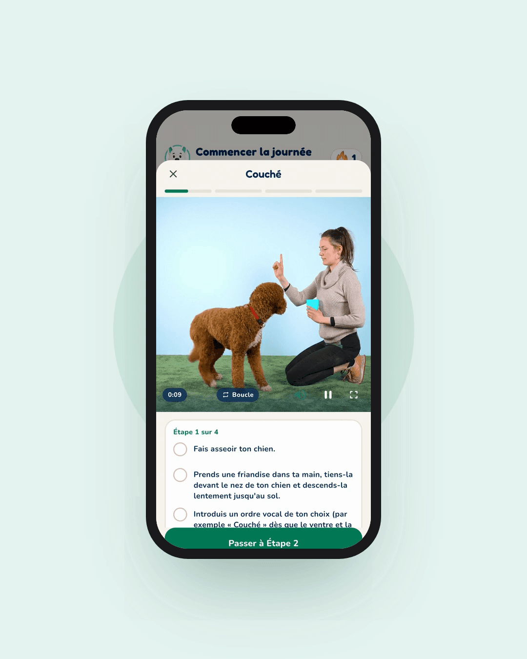 Aperçu de l'app Hundeo : Leçon vidéo, Sans texte