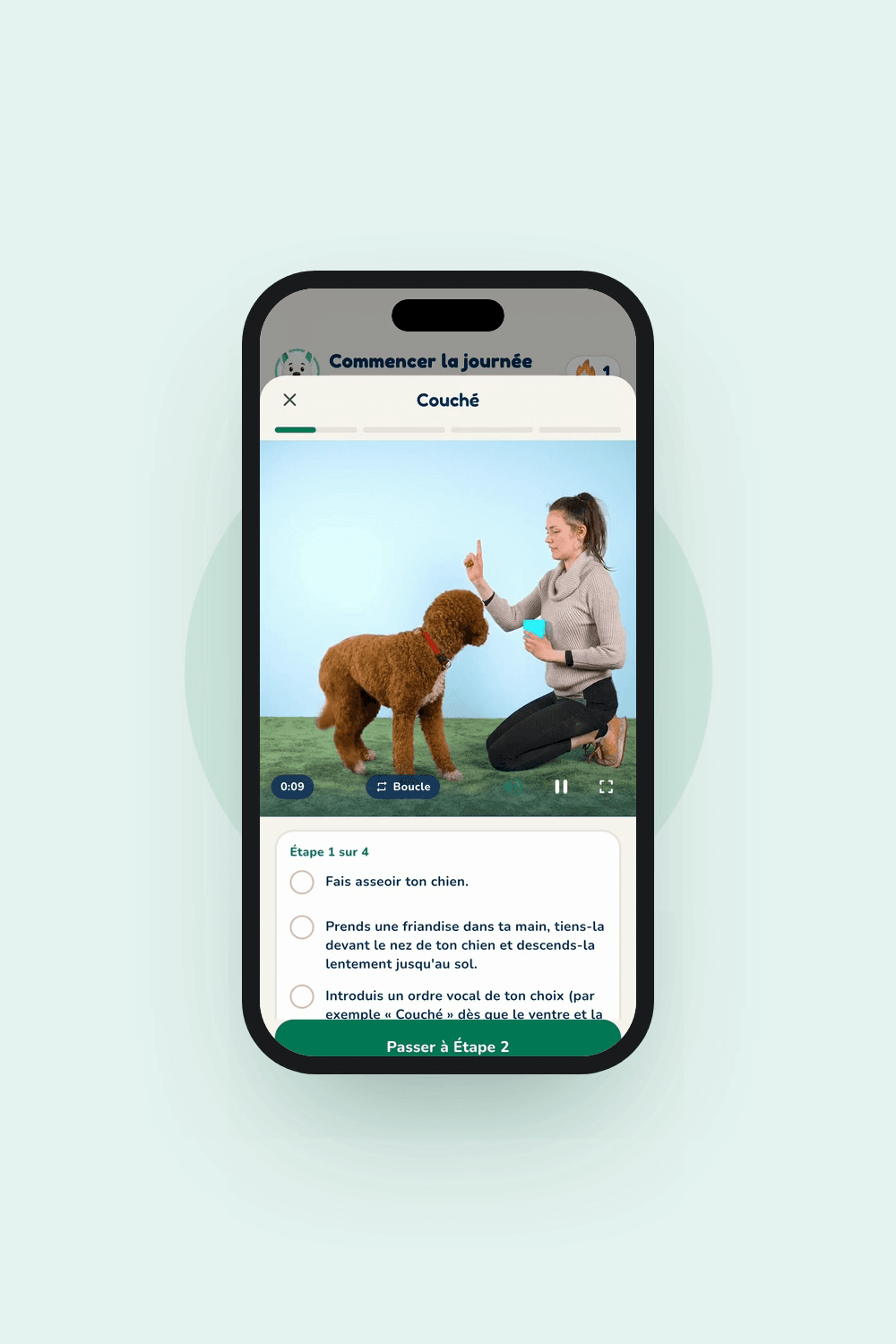 Aperçu de l'app Hundeo : Leçon vidéo, Sans texte