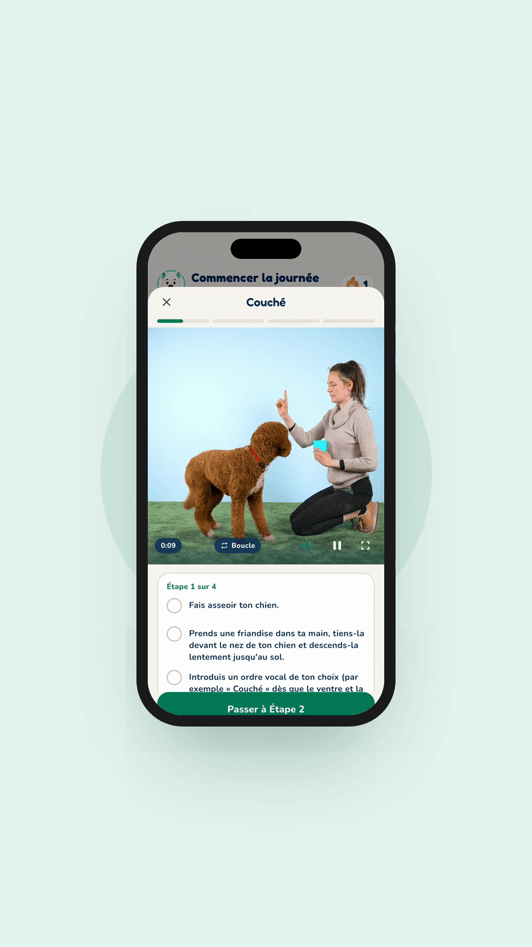 Aperçu de l'app Hundeo : Leçon vidéo, Sans texte