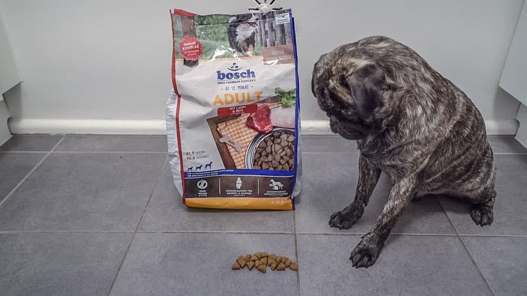 HPC Adult Lamm & Reis