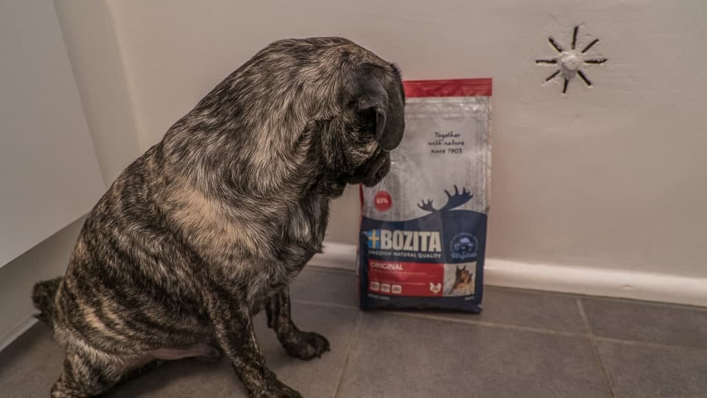 Single Protein Rind (Nassfutter)