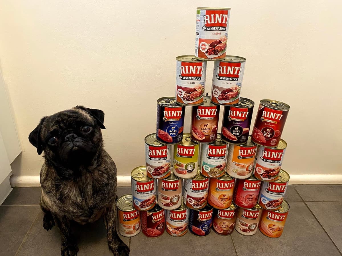 Rinti Kennerfleisch Rind Nassfutter, 800 g Dose mit rotem Label