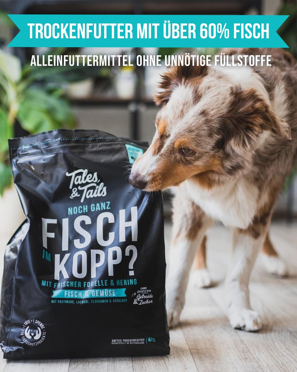 Tales & Tails Nassfutter Dosen auf einem Holztisch, daneben frischer Lachs und Forelle als Zutaten.