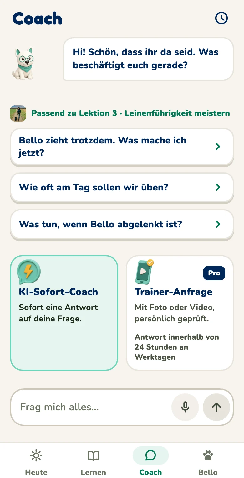 Hundeo-App: KI-Coach