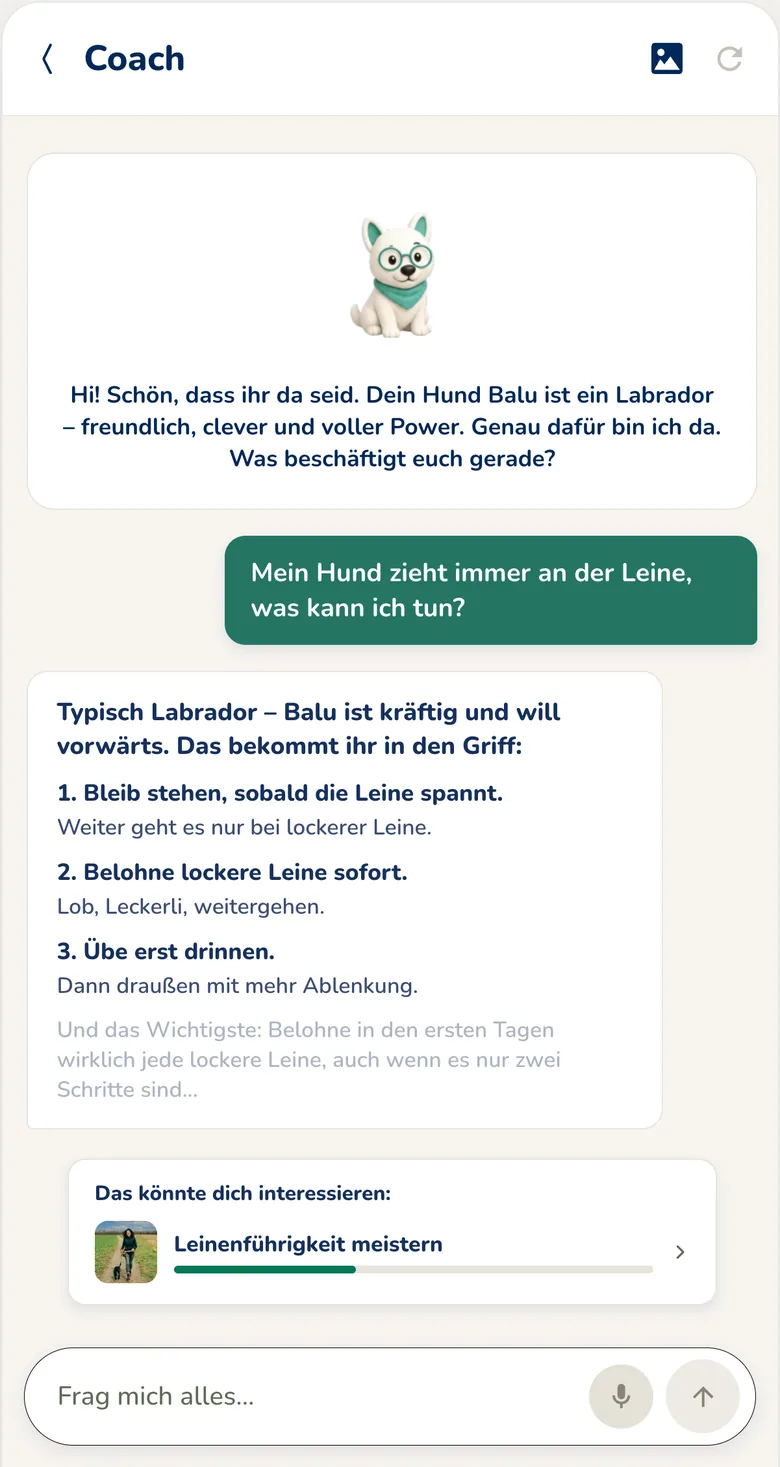 Hundeo App: Hundetrainer-Chat mit sofortiger Antwort