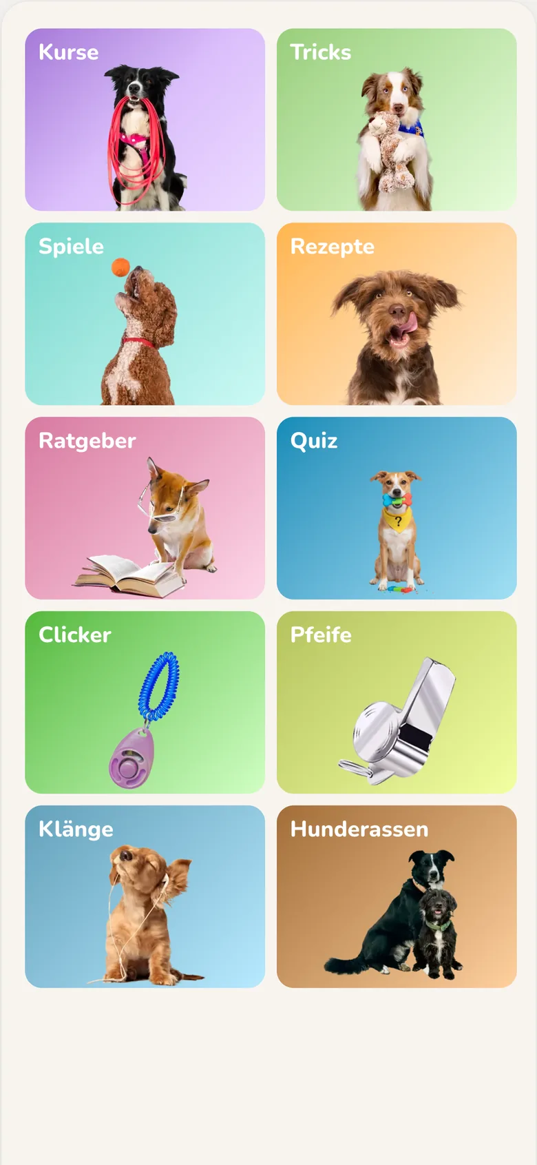 Hundeo App: Entdecken-Bereich mit Kursen, Tricks, Spielen und Guides