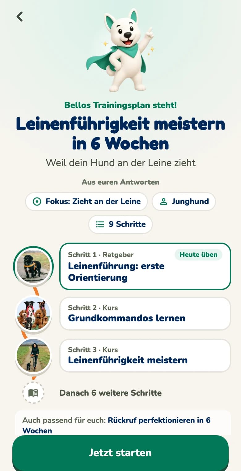 Hundeo-App: Trainingsplan