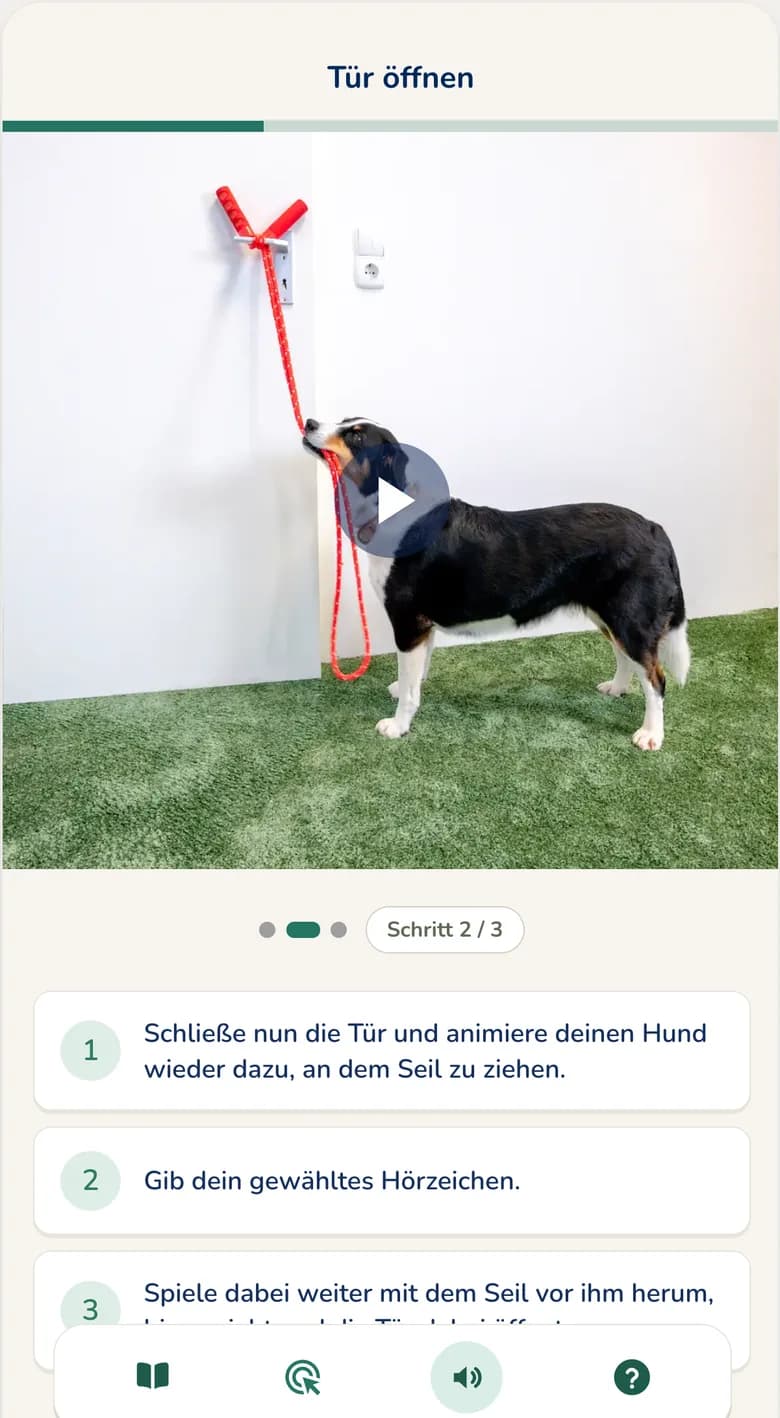 Hundeo App: Trainingsvideo mit Schritt-für-Schritt-Anleitung