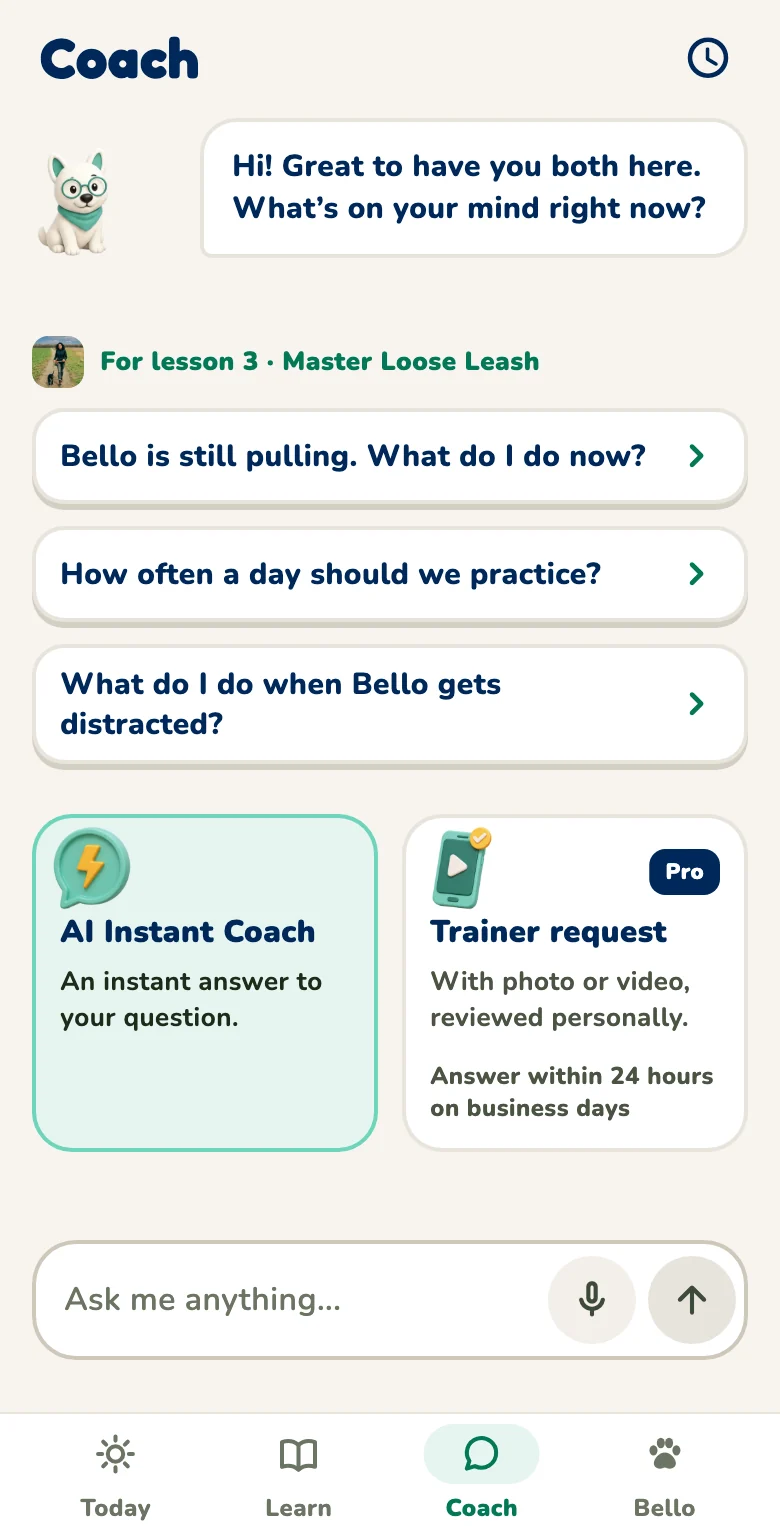 Hundeo app: AI coach