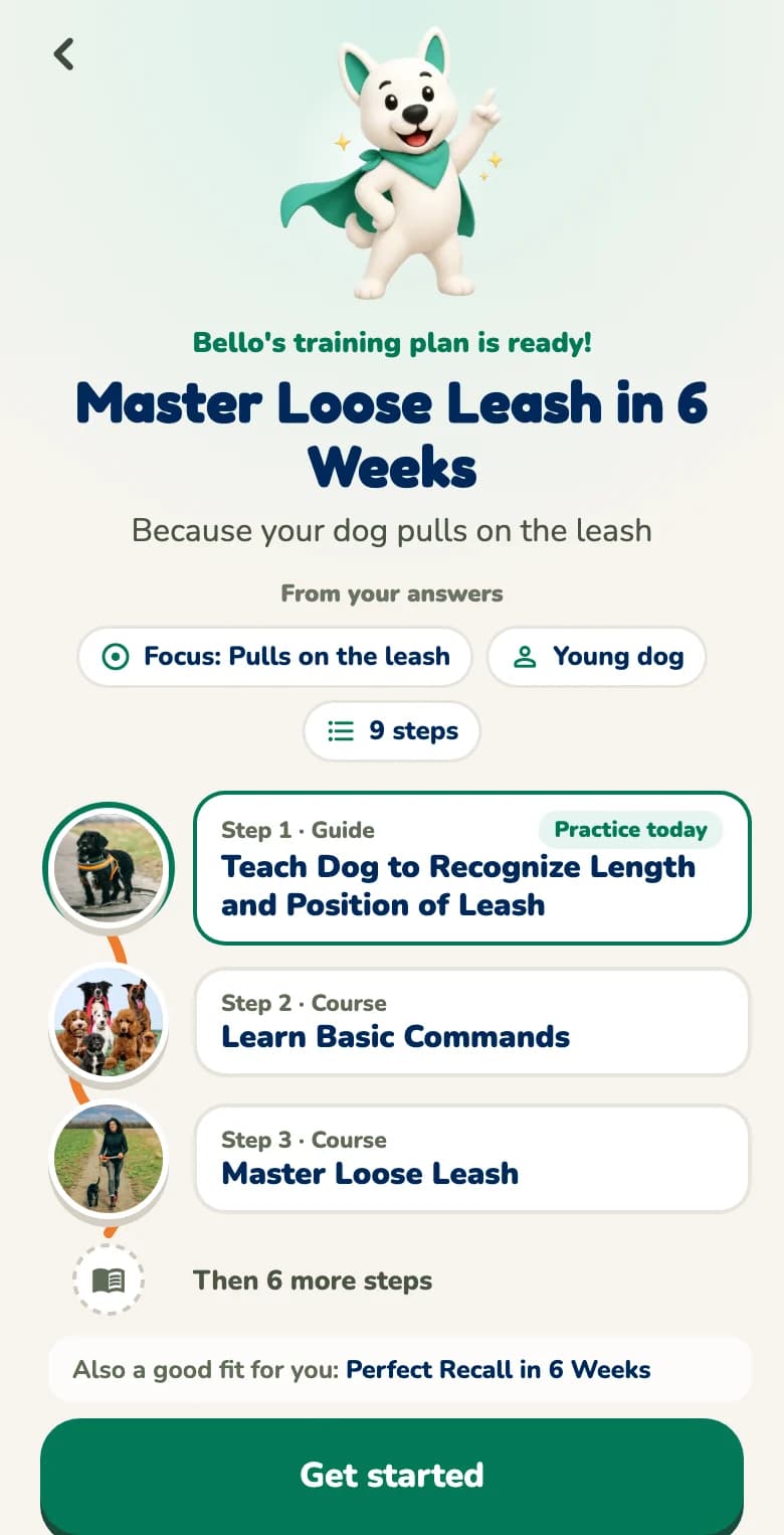 Hundeo app: training plan