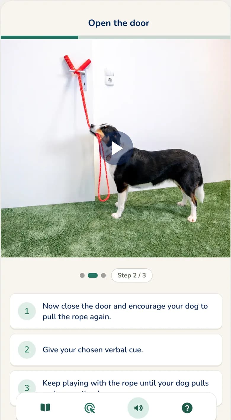 Hundeo App: training video with step-by-step guidance