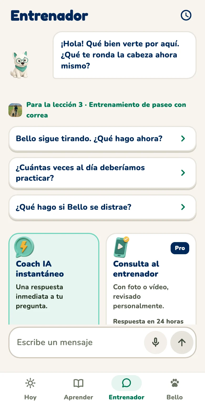 App de Hundeo: entrenador con IA