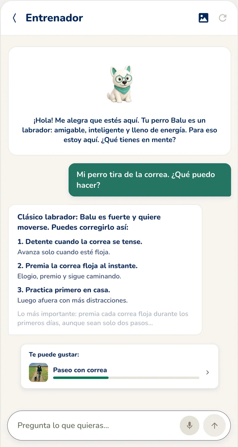 App Hundeo: chat con el entrenador canino con respuestas al instante
