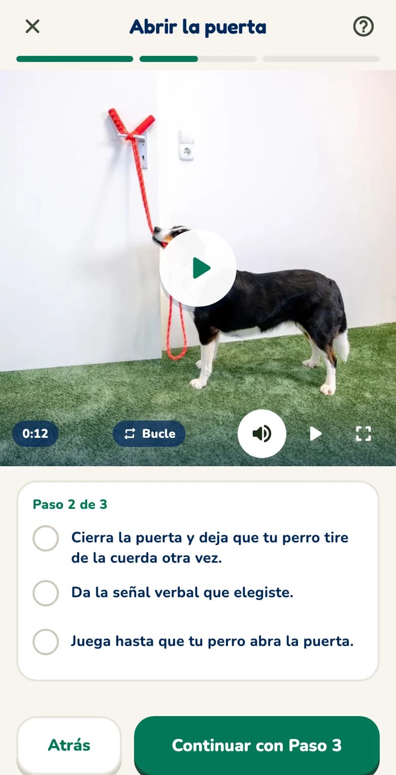 App Hundeo: lección que empieza con el vídeo y los pasos para marcar debajo