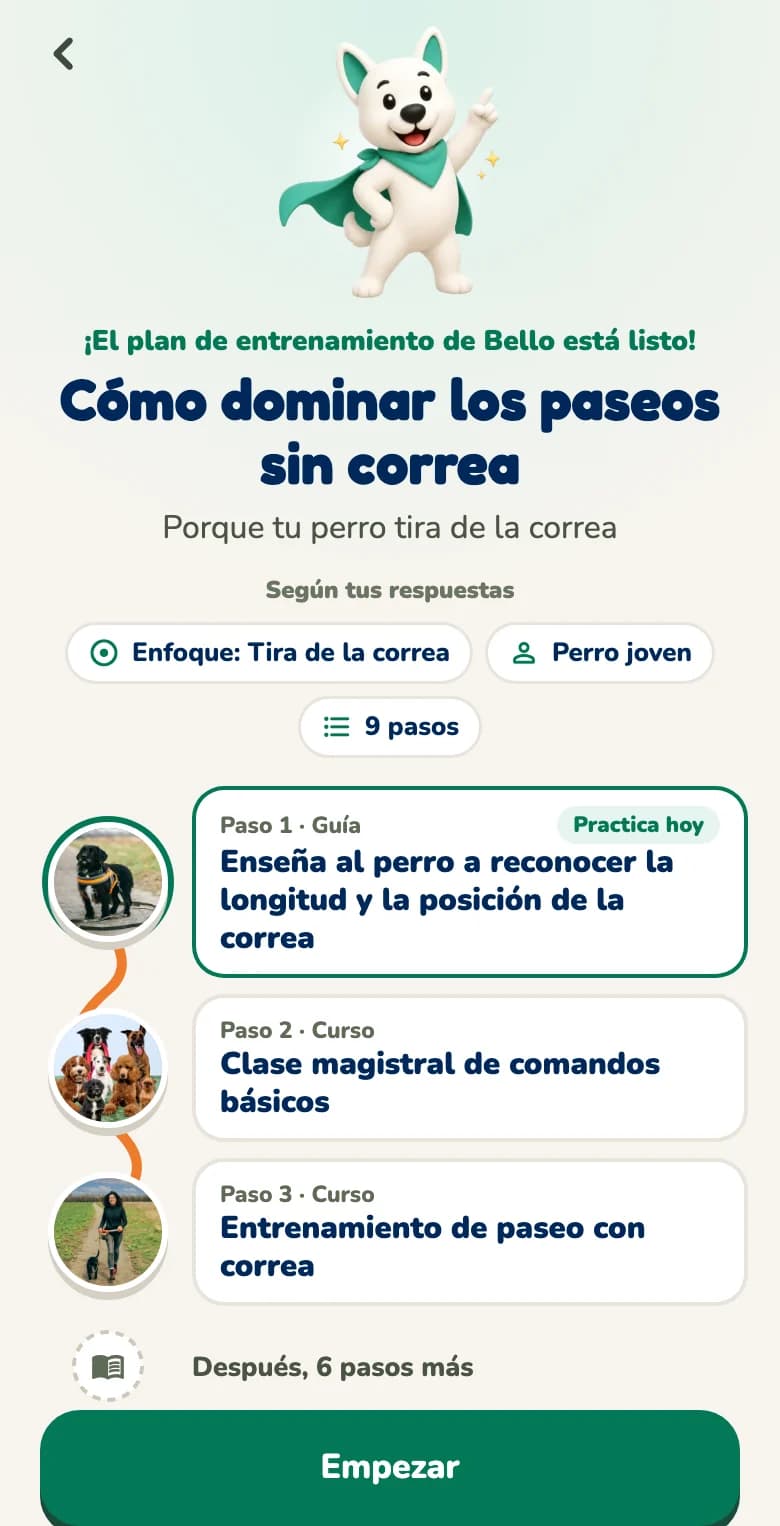 App Hundeo: plan de entrenamiento personal tras las primeras preguntas, con enfoque, edad y primeros pasos