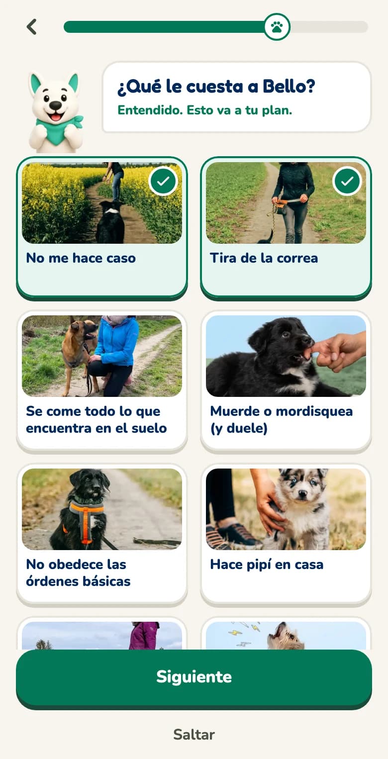 Pregunta en la app Hundeo con respuestas para tocar