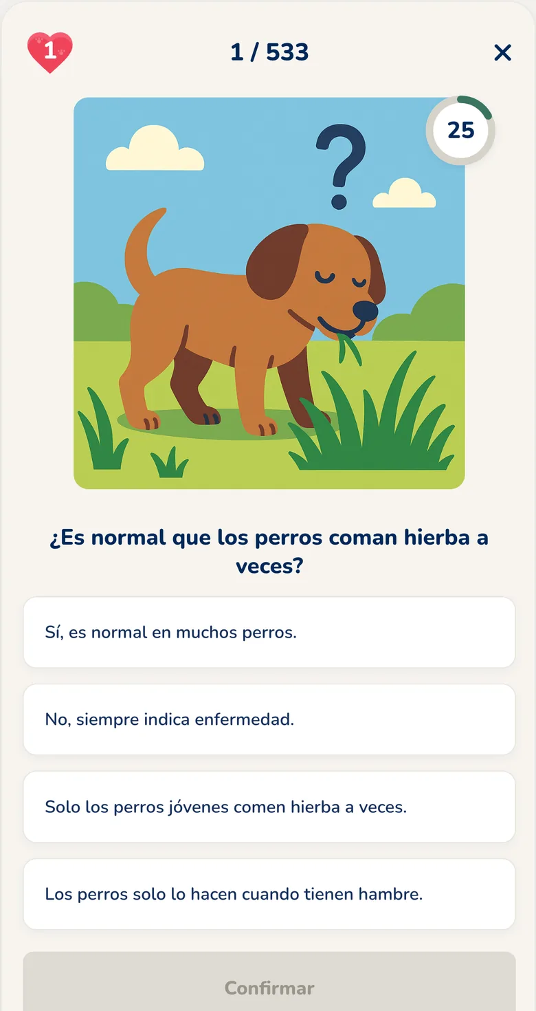 App Hundeo: quiz interactivo con respuestas