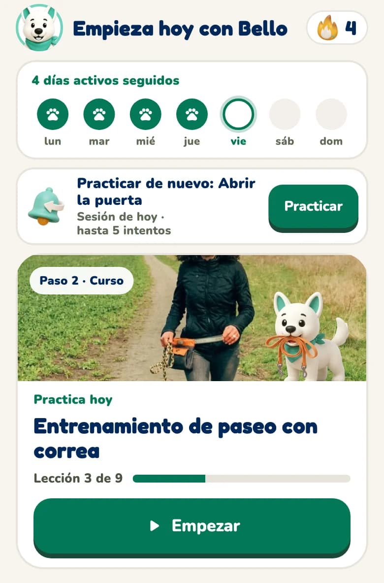 Vista Hoy de la app Hundeo con la lección de hoy y el progreso del curso