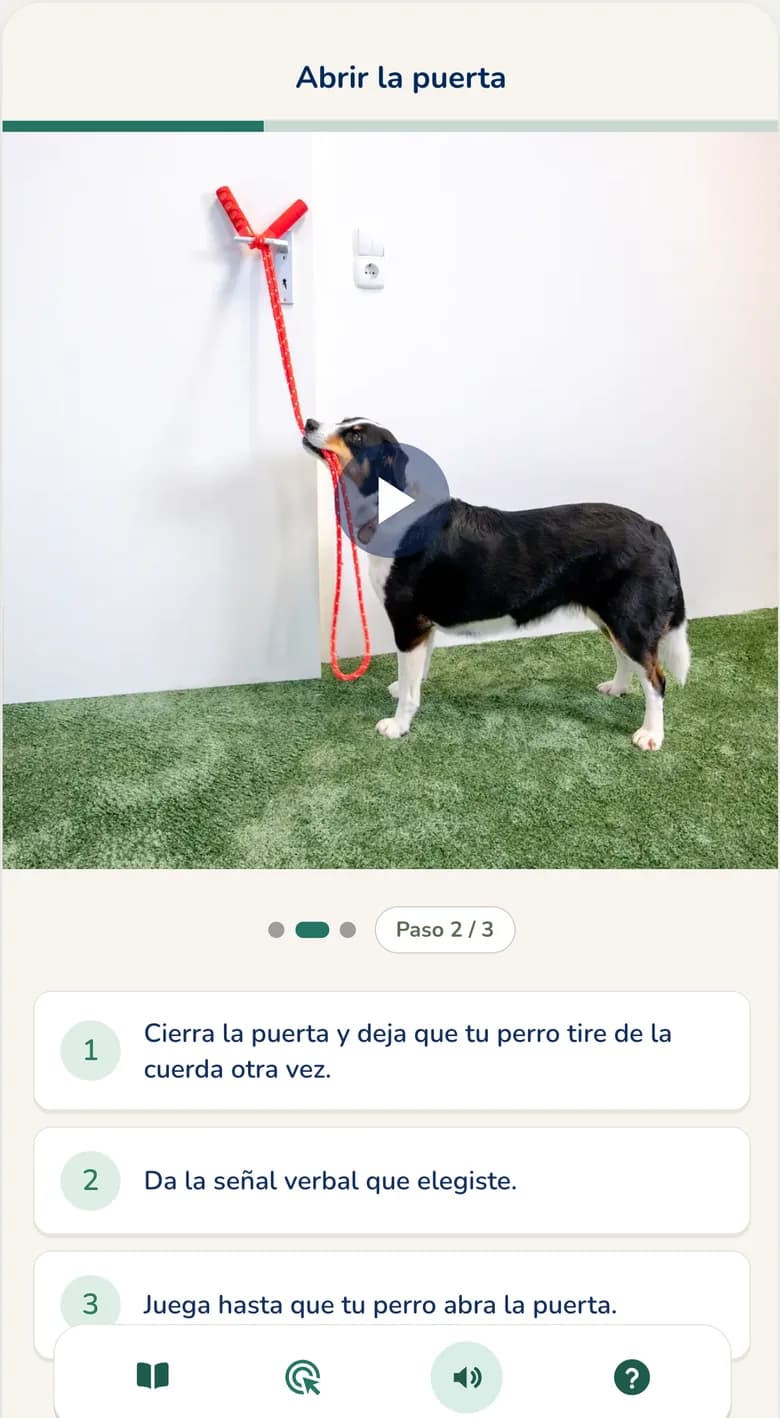 App Hundeo: vídeo de adiestramiento paso a paso